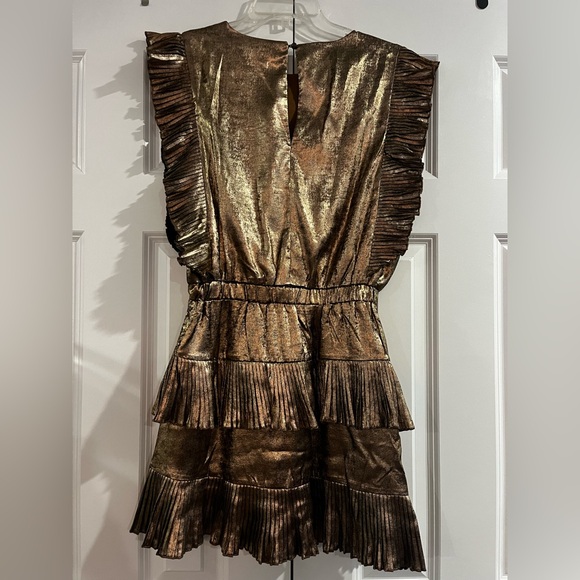 Metallic Gold/Bronze Ruffle Dress - Picture 4 of 6